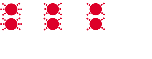 SIGMA - NYTE 70 - DAY FLASH - NIGHT FLASH - ECO FLASH