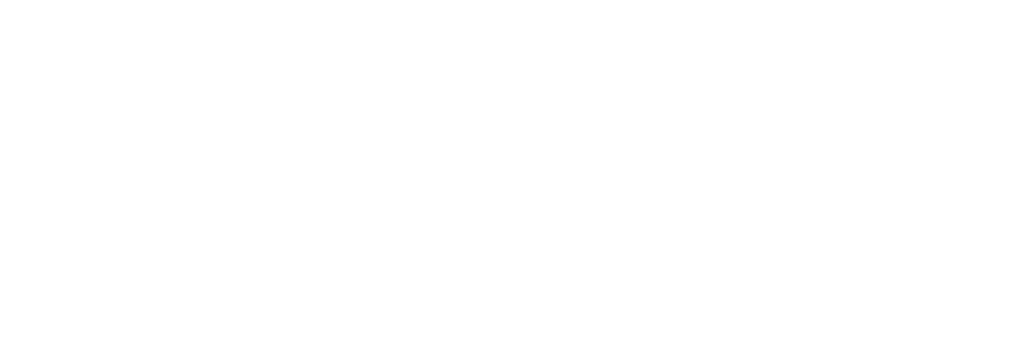Dispersion axis and angle of view SIGMA RECO 81 LINK.